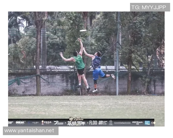 南京飞盘队的节奏分析与比赛表现的得失总结