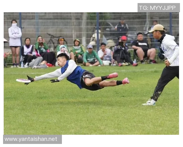 飞盘热潮来袭：深入了解北京飞盘队的训练与比赛节奏