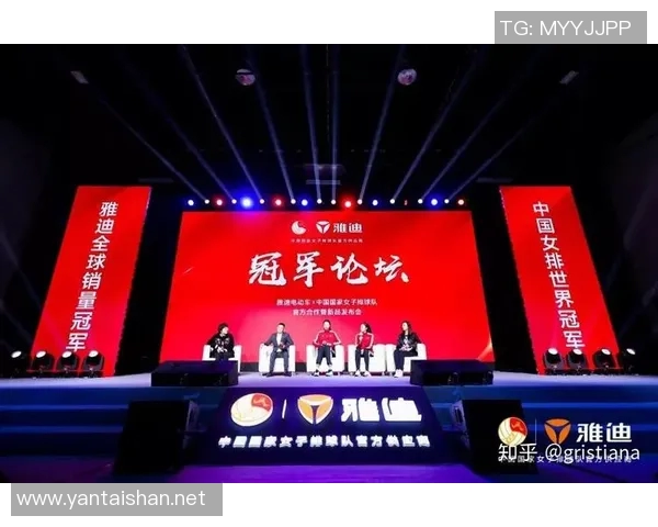 深度对话陈伟排球人生的起伏与坚持探索之路